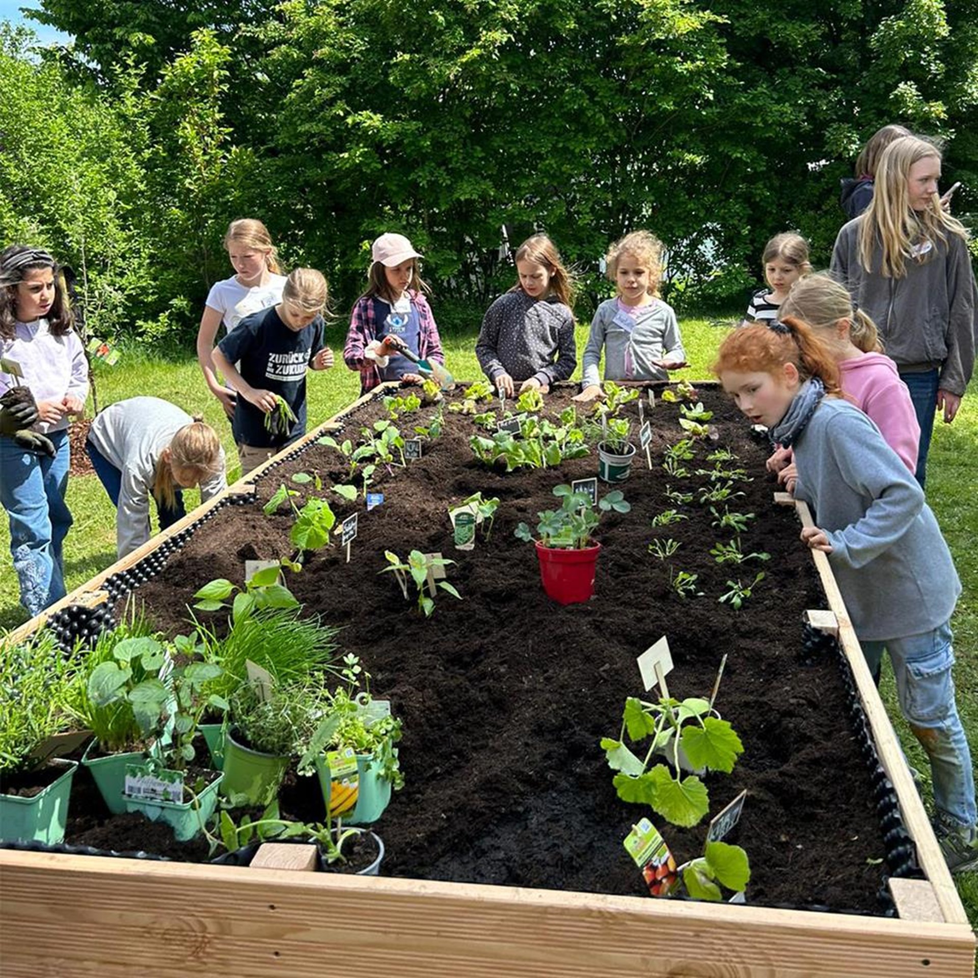 Mehrere Kinder und Jugendliche arbeiten an einem Blumenbeet.